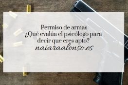 Permiso de armas